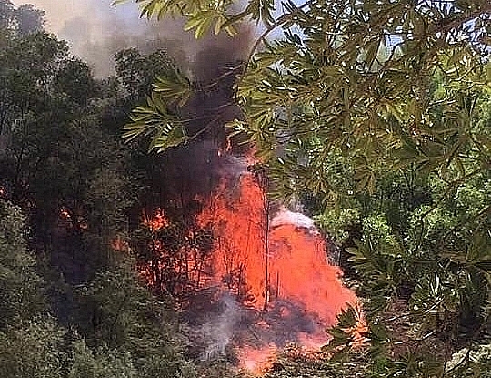 Lại cháy rừng ở Nghệ An, Trung đoàn Cảnh sát cơ động cùng tham gia dập lửa lai chay rung o nghe an trung doan canh sat co dong cung tham gia dap lua