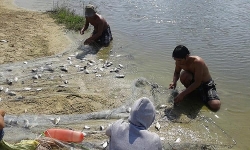 Mong ước đầu năm của ngư dân vươn khơi bám biển