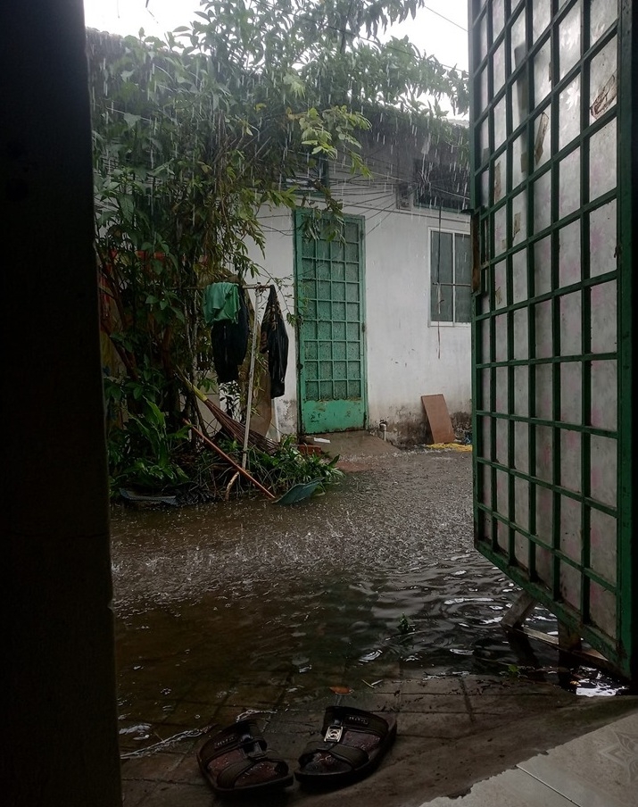 nhin lai nguoi dan nam bo cang minh doi dien trieu cuong