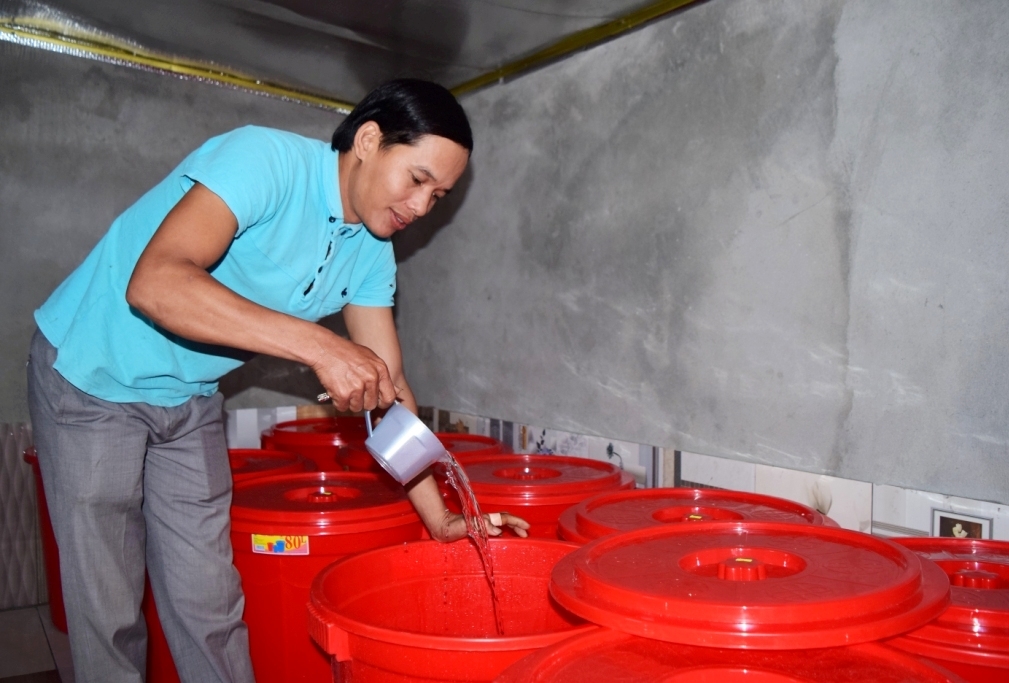 Chàng doanh nhân 7x cùng khát vọng đặc sản cây nếp đắng chang doanh nhan 7x cung khat vong dac san cay nep dang