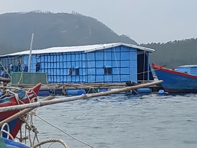 “Thủ phủ” tôm hùm chuẩn bị ứng phó trước bão số 6 thu phu tom hum chuan bi ung pho truoc bao so 6