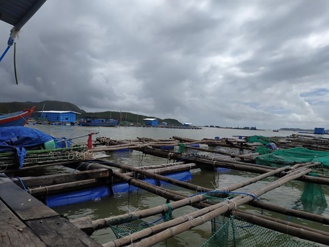 Sau bão số 6, chưa ghi nhận thiệt hại kinh tế quá lớn sau bao so 6 chua ghi nhan thiet hai kinh te chua qua lon