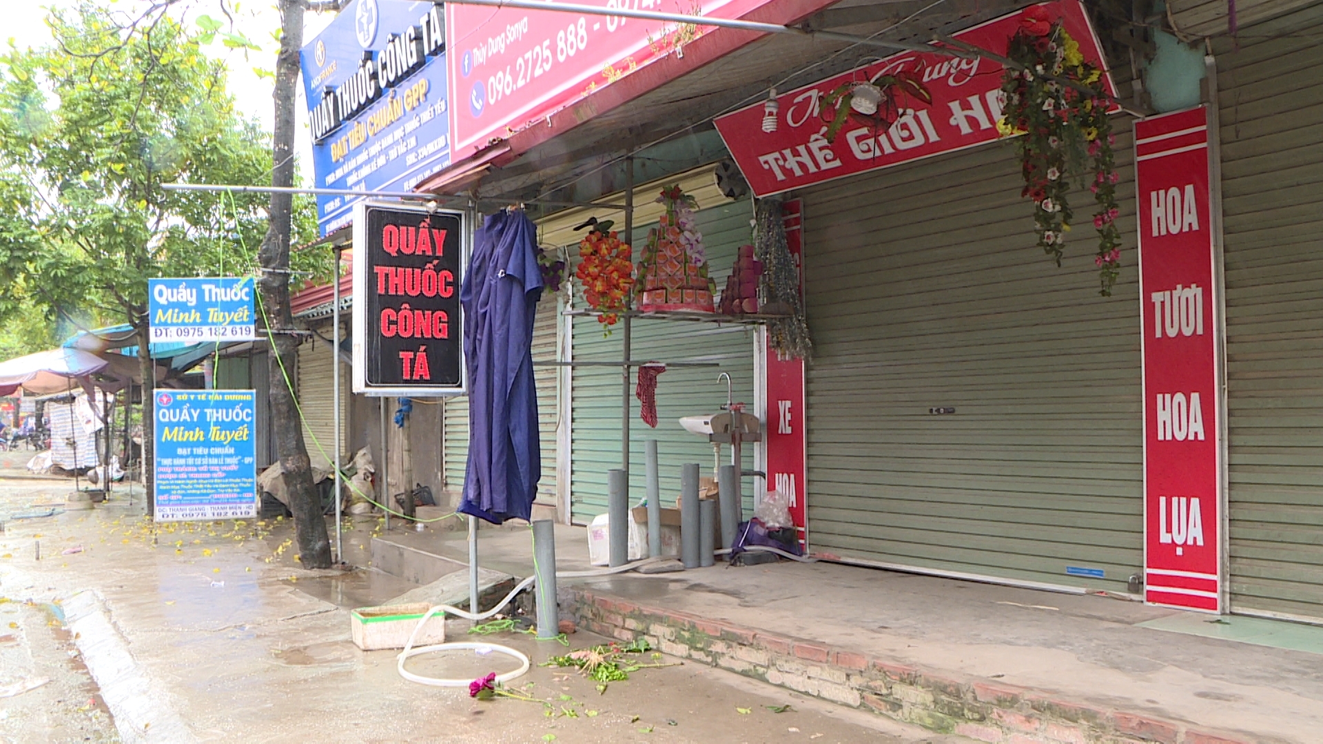 hai duong dong bo giai phap phong chong dich tren dien rong