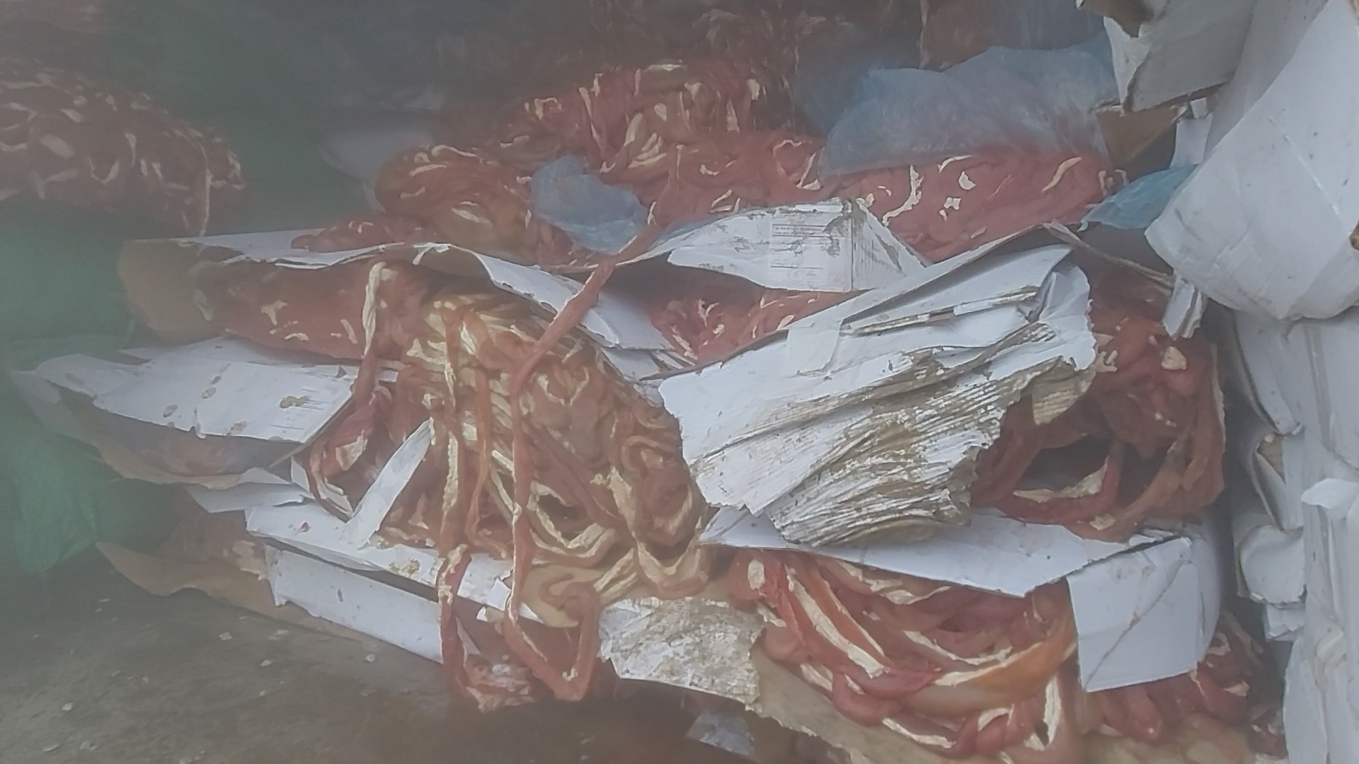 hai duong phat hien kho chua noi tang dong vat khung khong ro nguon goc xuat xu