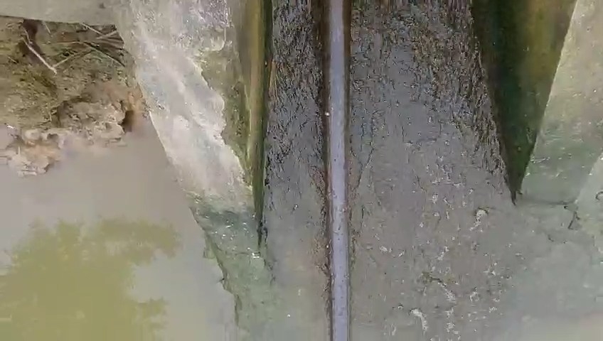 hai duong lai them kho khung noi tang dong vat chua ro nguon goc