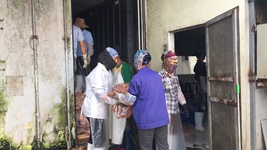 hai duong lai them kho khung noi tang dong vat chua ro nguon goc