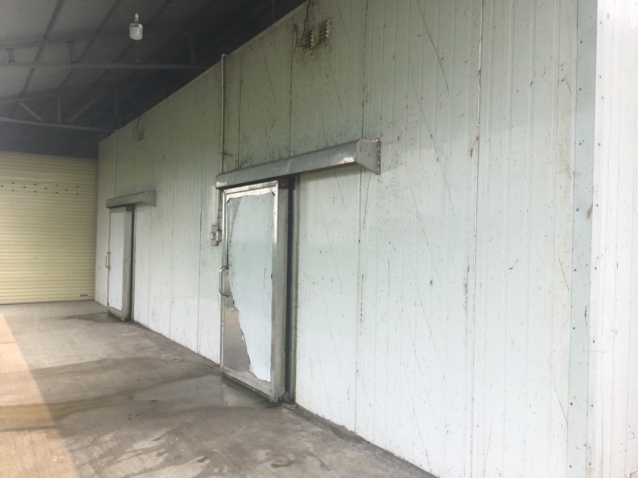 hai duong lai them kho khung noi tang dong vat chua ro nguon goc