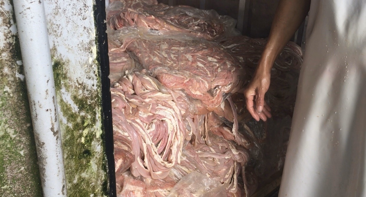 hai duong lai them kho khung noi tang dong vat chua ro nguon goc