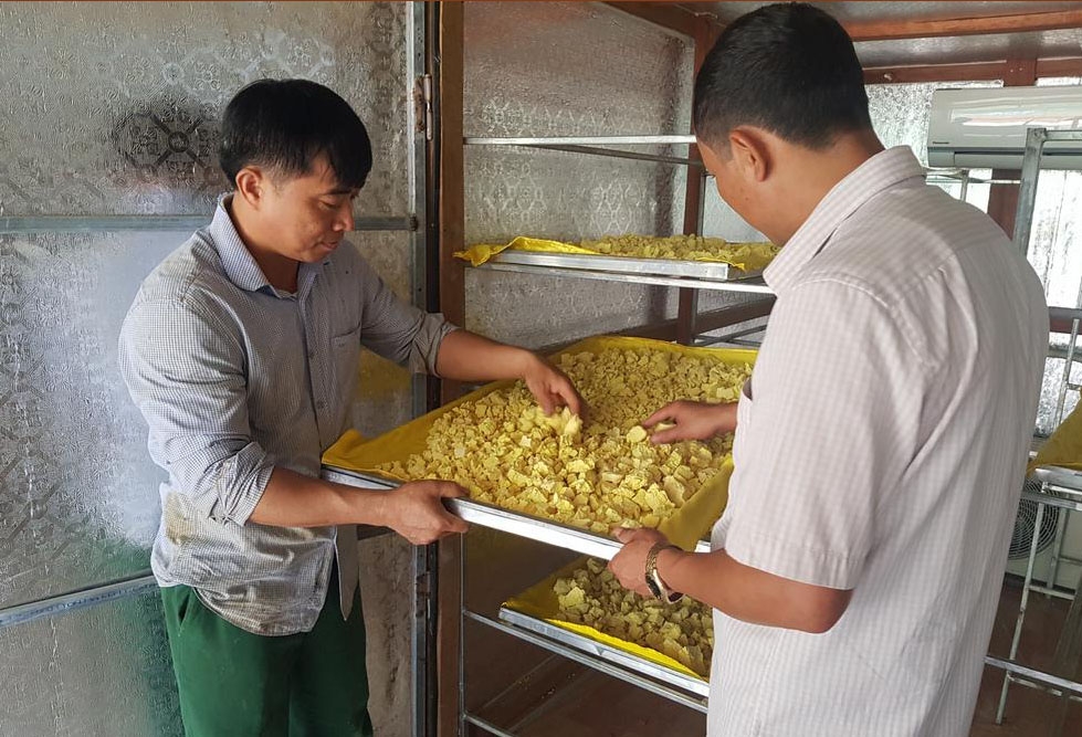 Phát huy hiệu quả mô hình sản xuất tinh bột Nghệ của người H’Mông Phát huy hiệu quả mô hình sản xuất tinh bột Nghệ của người H’Mông