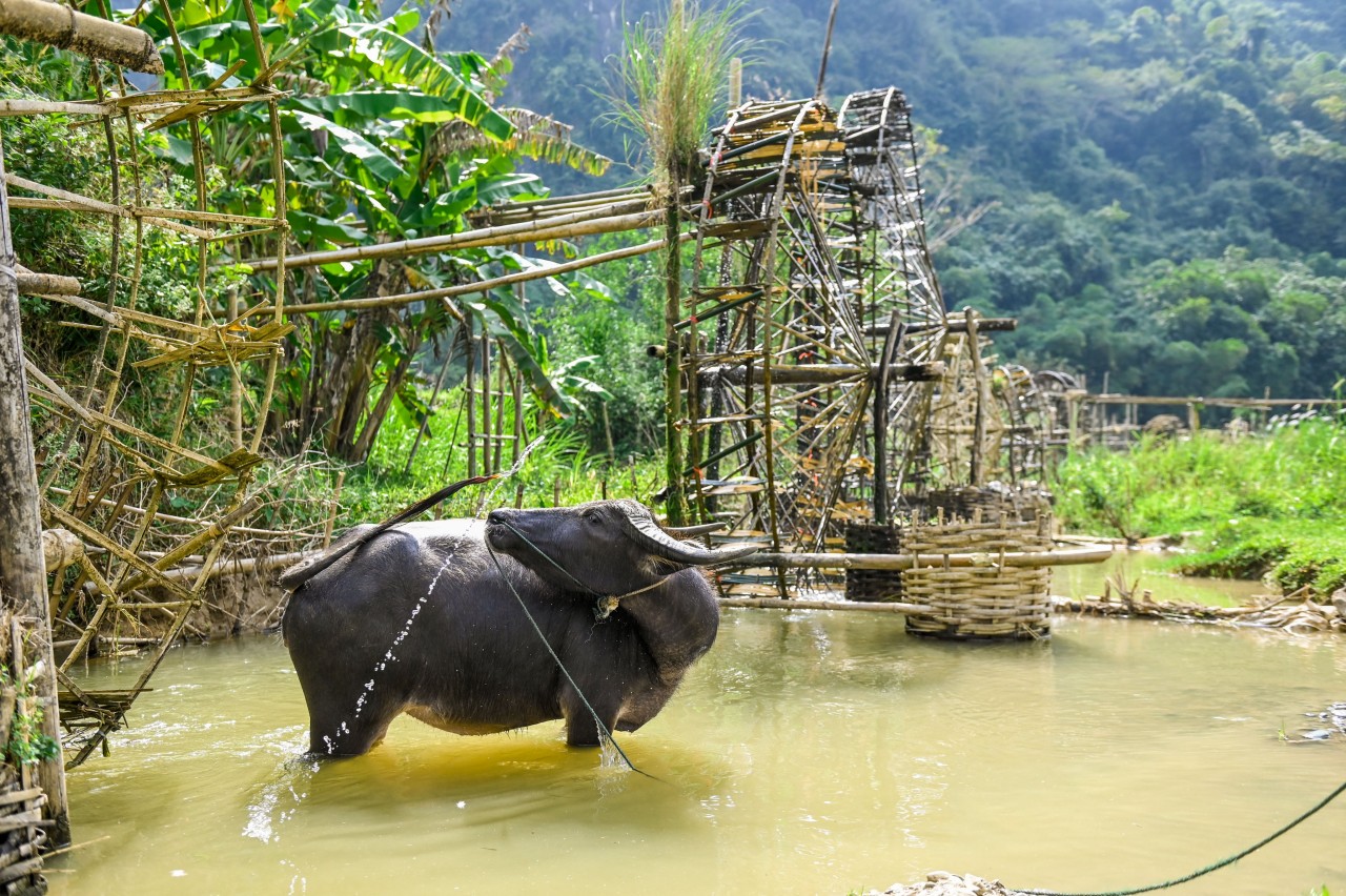 Hành trình 2 ngày khám phá Pù Luông cùng Nissan Navara 2022