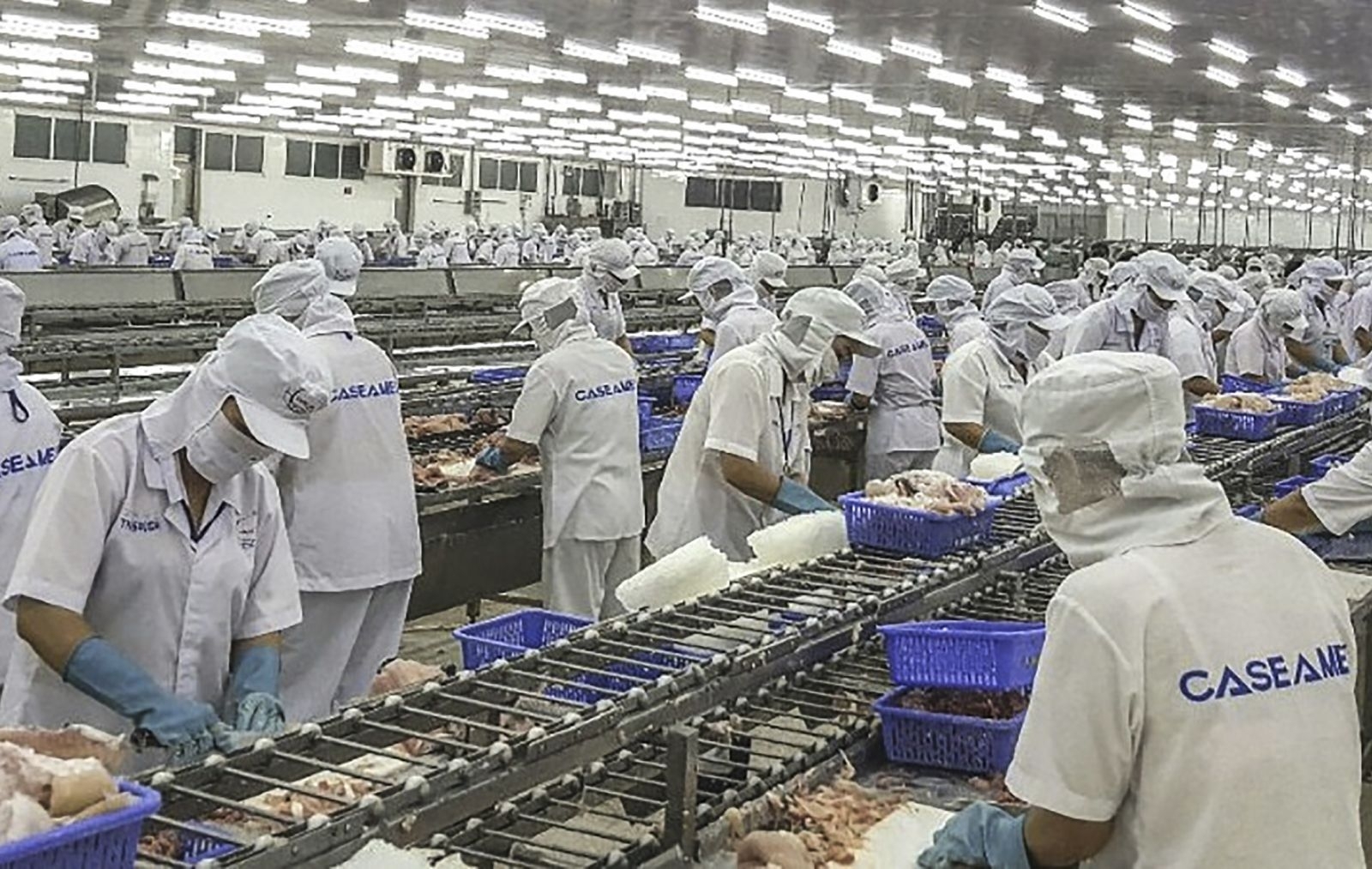 Số ngày phải báo trước khi chấm dứt hợp đồng lao động Số ngày phải báo trước khi chấm dứt hợp đồng lao động