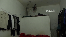 thi truong dang don luc luong lao dong moi doc lap tu tin nhung mong manh de vo