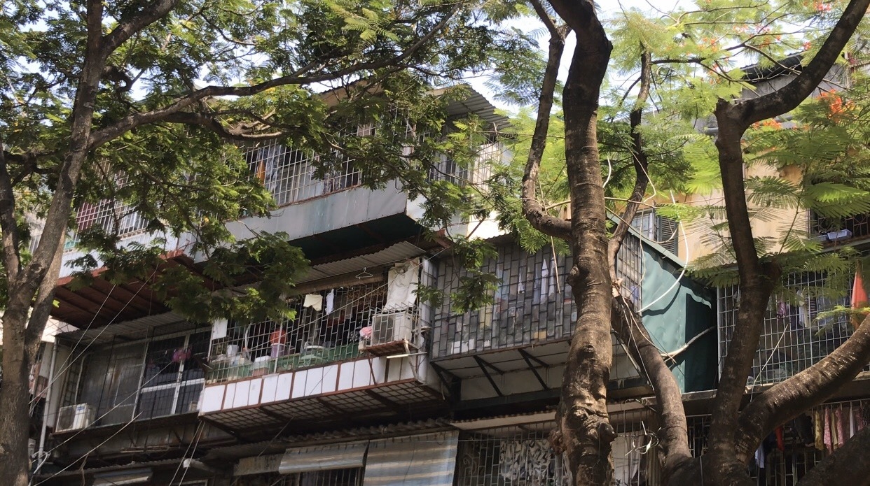 nhung chuong cop lo lung trong cac khu tap the cu