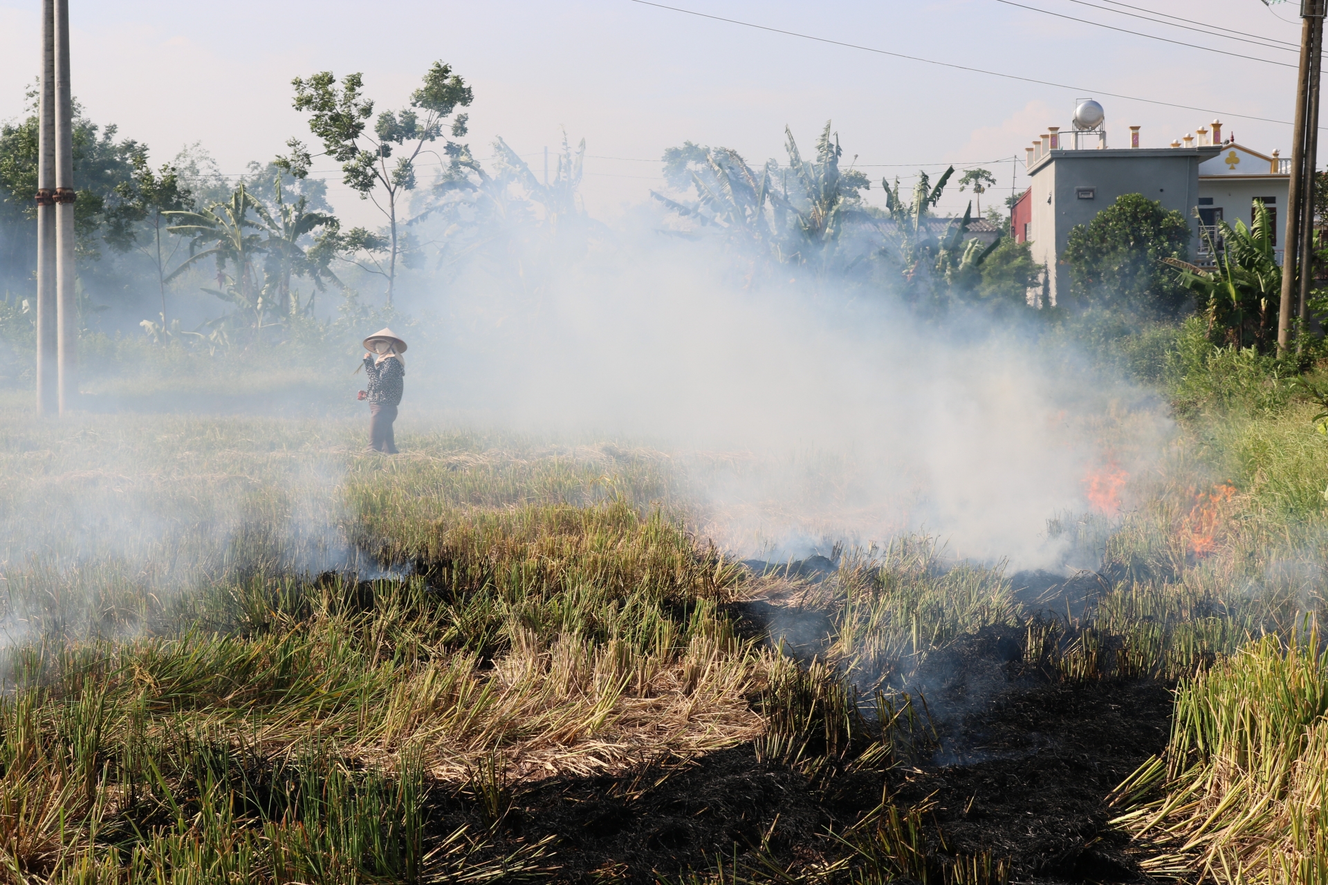 Mùa gặt và khói rơm rạ: Câu chuyện "Biết rồi, khổ lắm, nói mãi"! mua gat va khoi rom ra cau chuyen biet roi kho lam noi mai