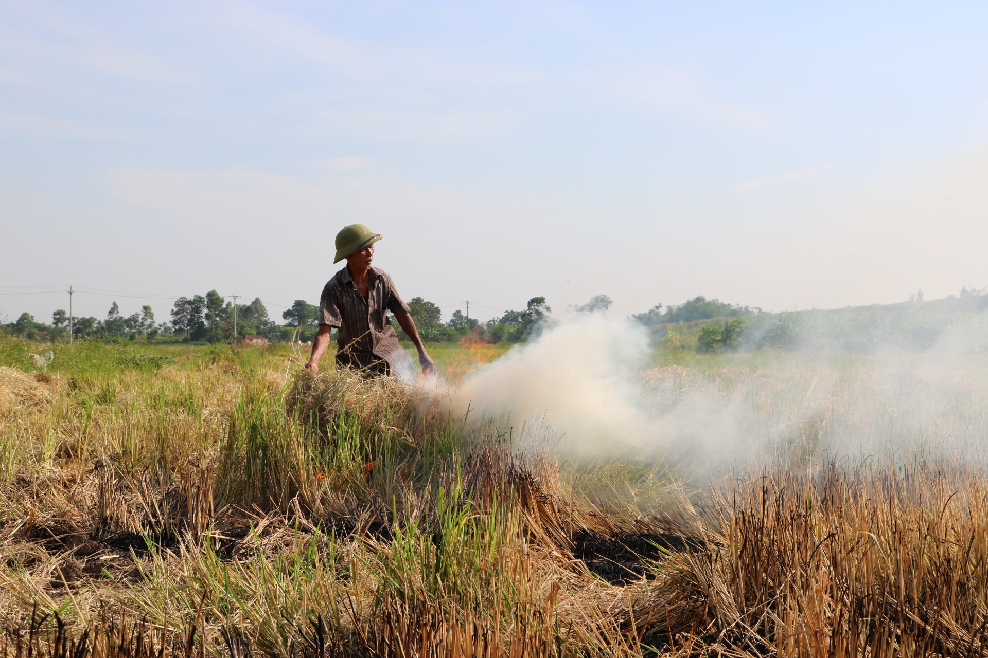 Mùa gặt và khói rơm rạ: Câu chuyện "Biết rồi, khổ lắm, nói mãi"! mua gat va khoi rom ra cau chuyen biet roi kho lam noi mai