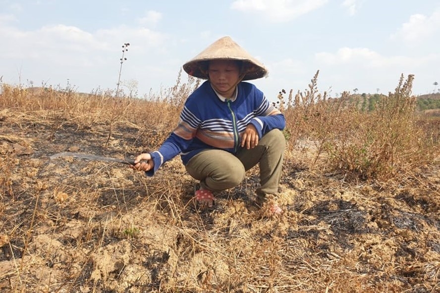 chao lua mien trung quay cuong voi han han ky luc lon nhat