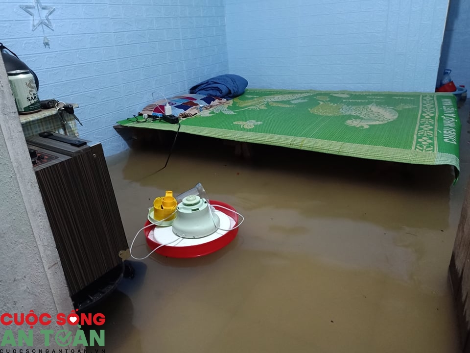 1502 117646288 3150763844999481 4768904734892000129 n