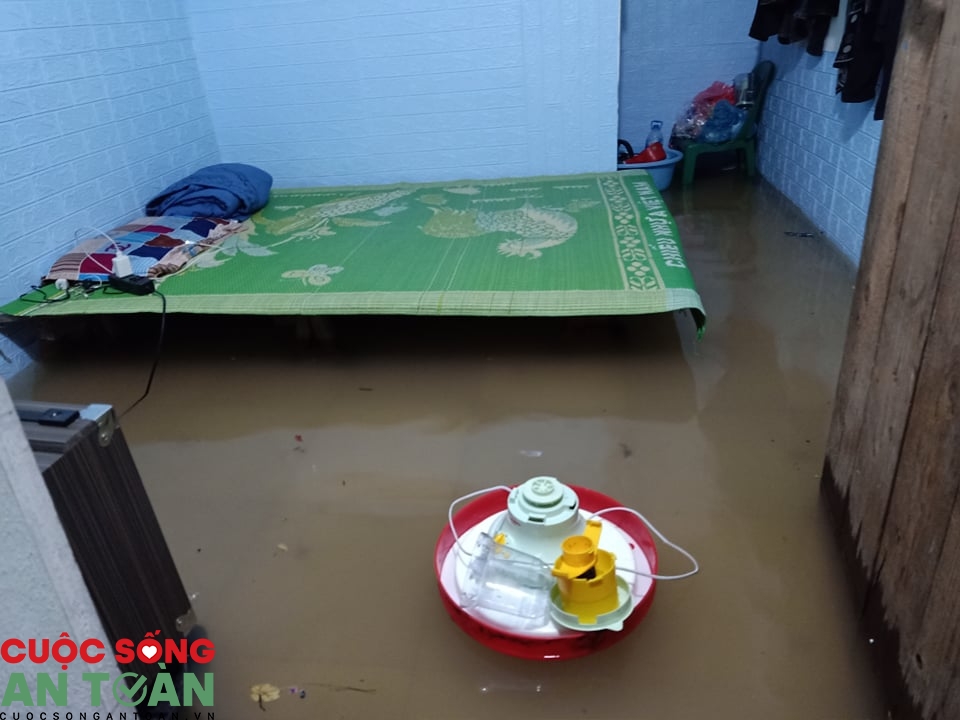 Khu trọ công nhân tiềm ẩn nguy cơ dịch sốt xuất huyết