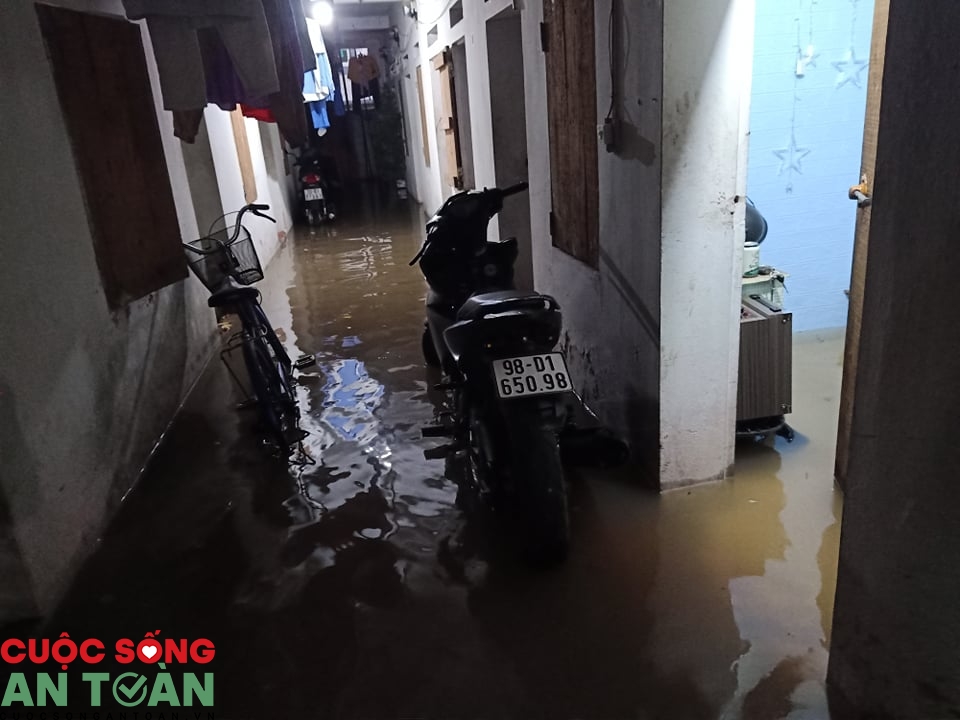 Khu trọ công nhân tiềm ẩn nguy cơ dịch sốt xuất huyết