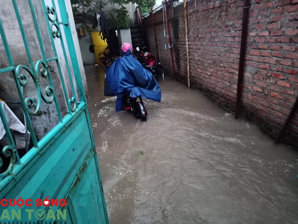 1509 117853914 933279257165057 2407640003914239727 n