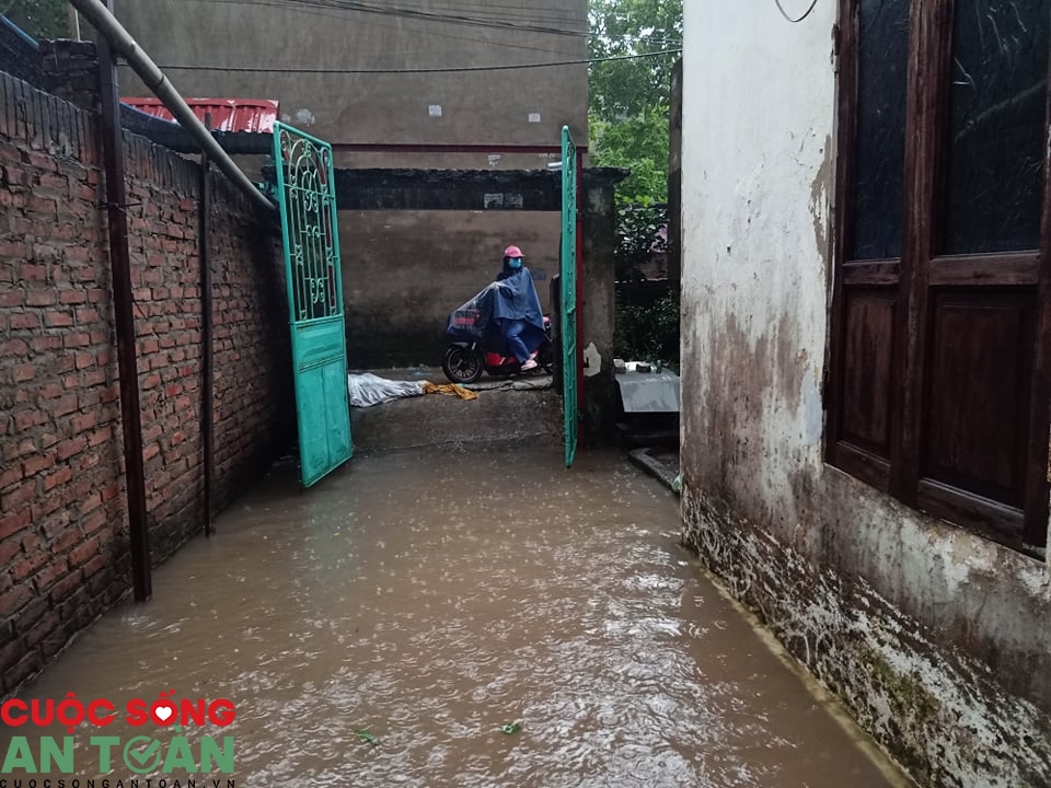 1511 117951270 2386034575030924 8976248467487683075 n