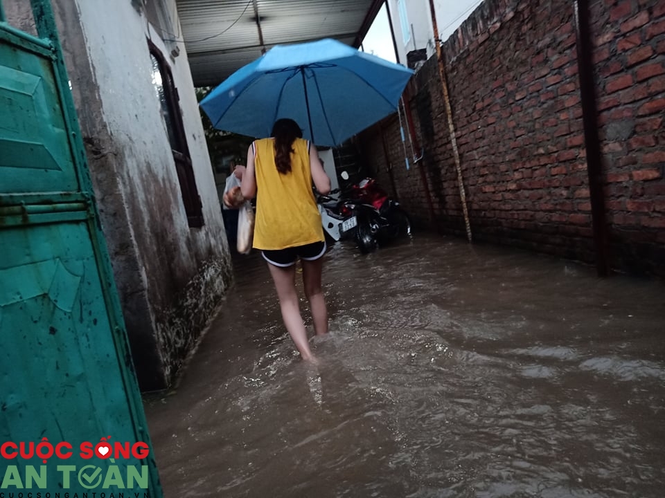 1513 117958378 931583220672616 1022394810603488608 n