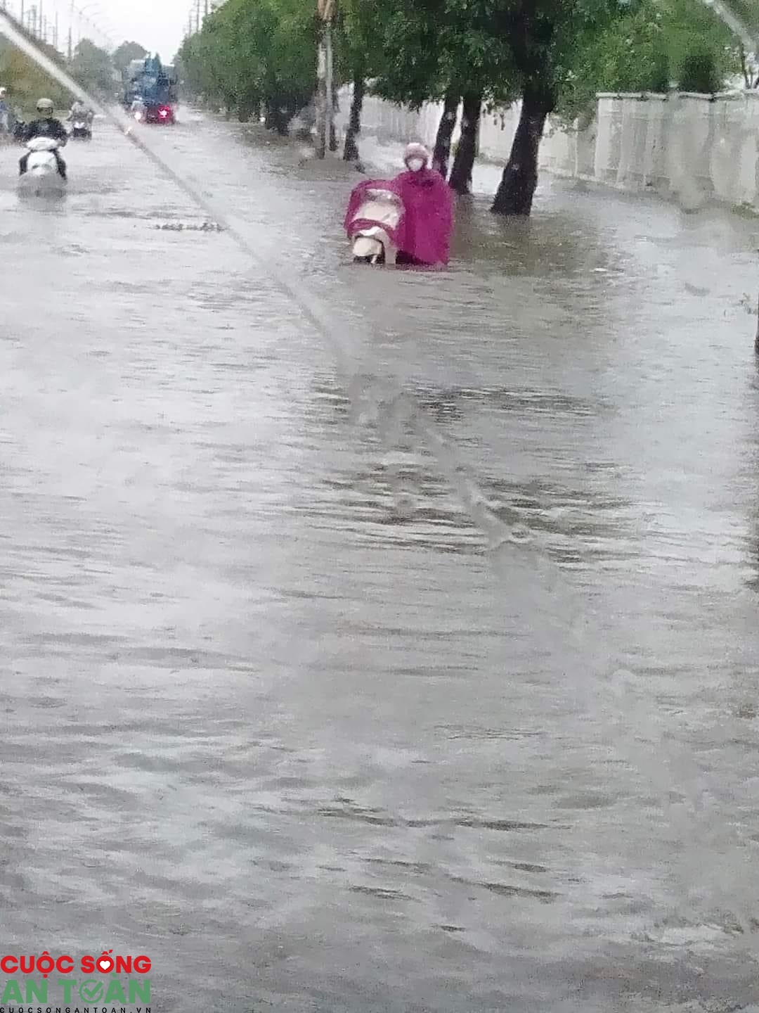 1517 z2029995836672 f012f701378254dd1e48b25042d32153