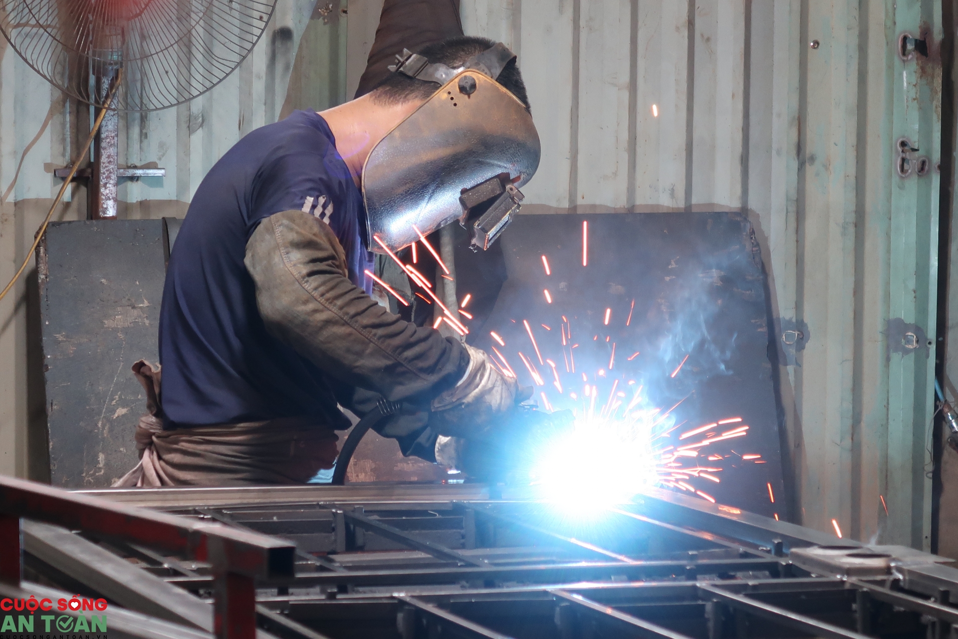 undefined 2556 img 0528