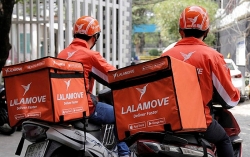 hanh trinh dep cua gao ngong