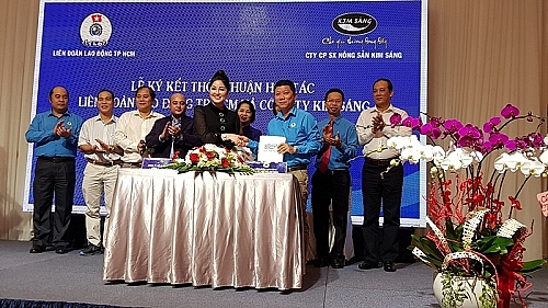 Công đoàn phối hợp cùng doanh nghiệp đưa gạo sạch đến công nhân ldld tphcm cung doanh nghiep dua gao sach den cong nhan