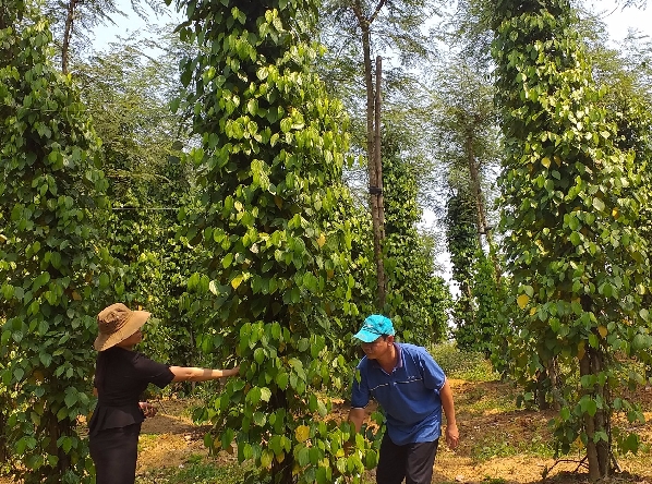 Quỹ Trợ vốn công nhân lao động nghèo đồng hành cùng đoàn viên công đoàn