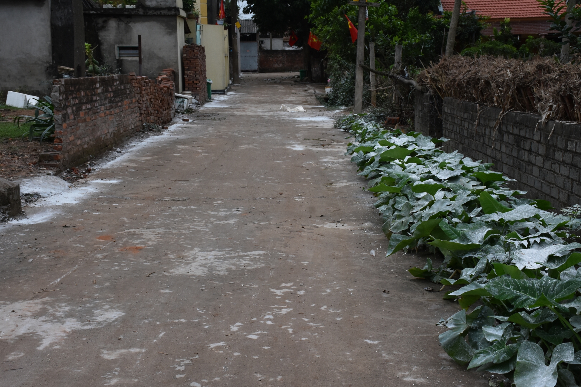 benh nhan nhiem virus corona thu 14 da tiep xuc voi nhung ai