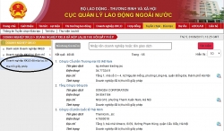 khoi to 4 doi tuong moi gioi dua 400 nguoi ra nuoc ngoai trai phep