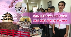 di xuat khau lao dong 20 ngay ve nuoc cong ty dich vu tru hon 3000 usd