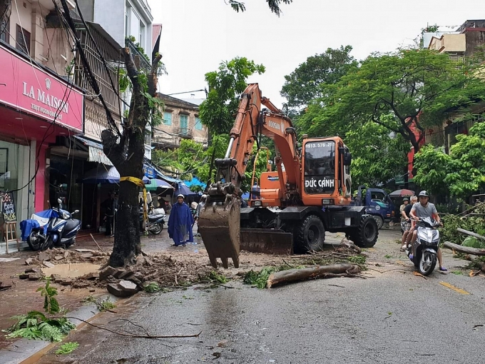 bao so 3 vao hai phong nhieu cay xanh do rap la liet