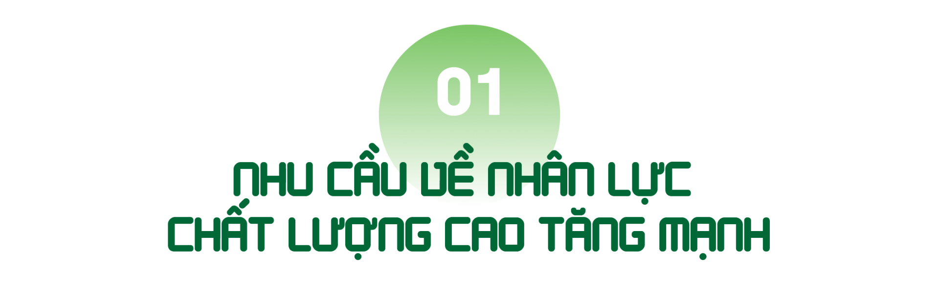 “Nhu cầu tuyển lao động có tay nghề cao hơn các năm trước” “Nhu cầu tuyển lao động có tay nghề cao hơn các năm trước”