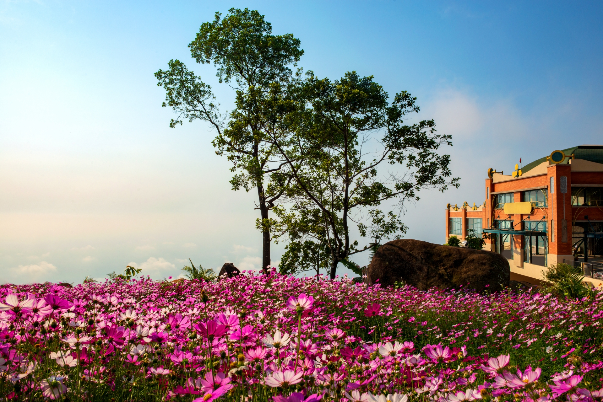 Lễ hội Vía Bà 2020 đón khách thập phương với nhiều trải nghiệm mới le hoi via ba 2020 don khach thap phuong voi nhieu trai nghiem moi