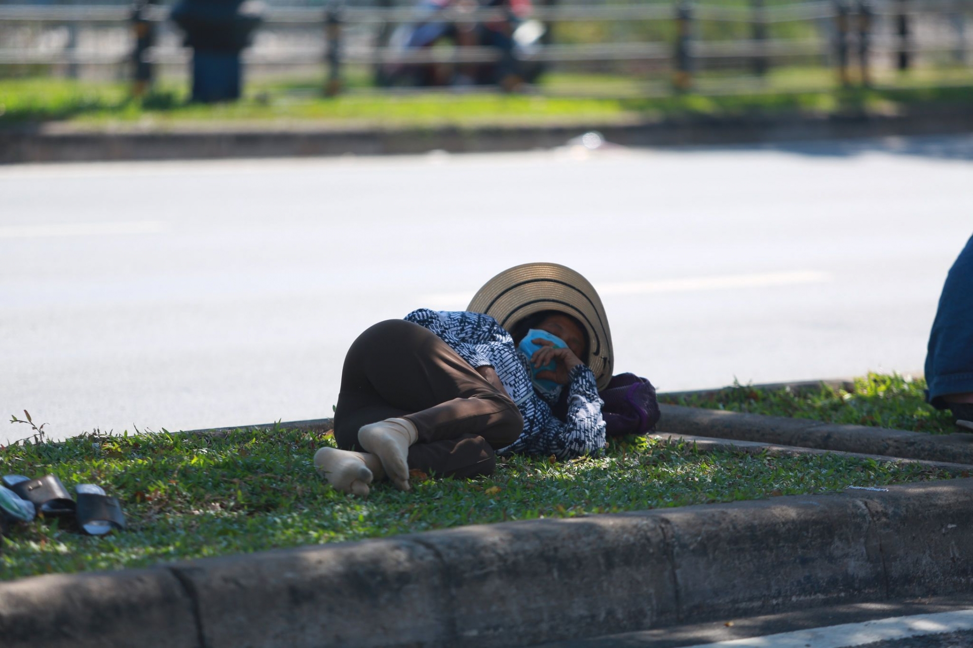 Những vòng xe tảo tần Những vòng xe tảo tần