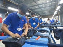 dau ca roi nhung canh en bao xuan