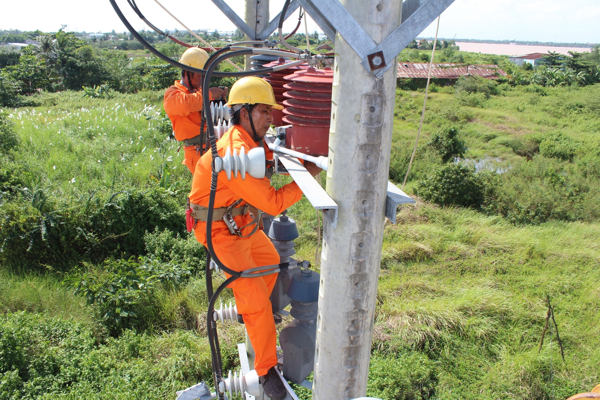 Ngành điện phía Nam triển khai nhiều phương án đảm bảo an toàn điện mùa mưa bão 0539 1 2