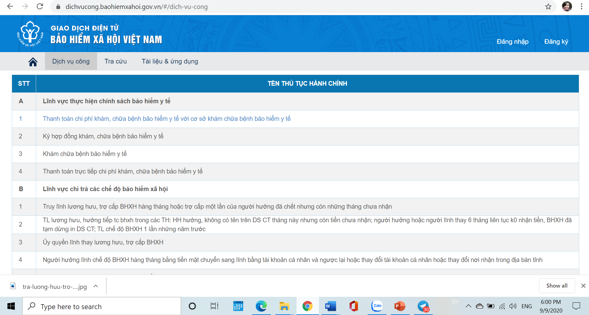 Danh mục dịch vụ công Cổng dịch vụ công của Ngành tại địa chỉ https://dichvucong.baohiemxahoi.gov.vn 0251 screenshot 272