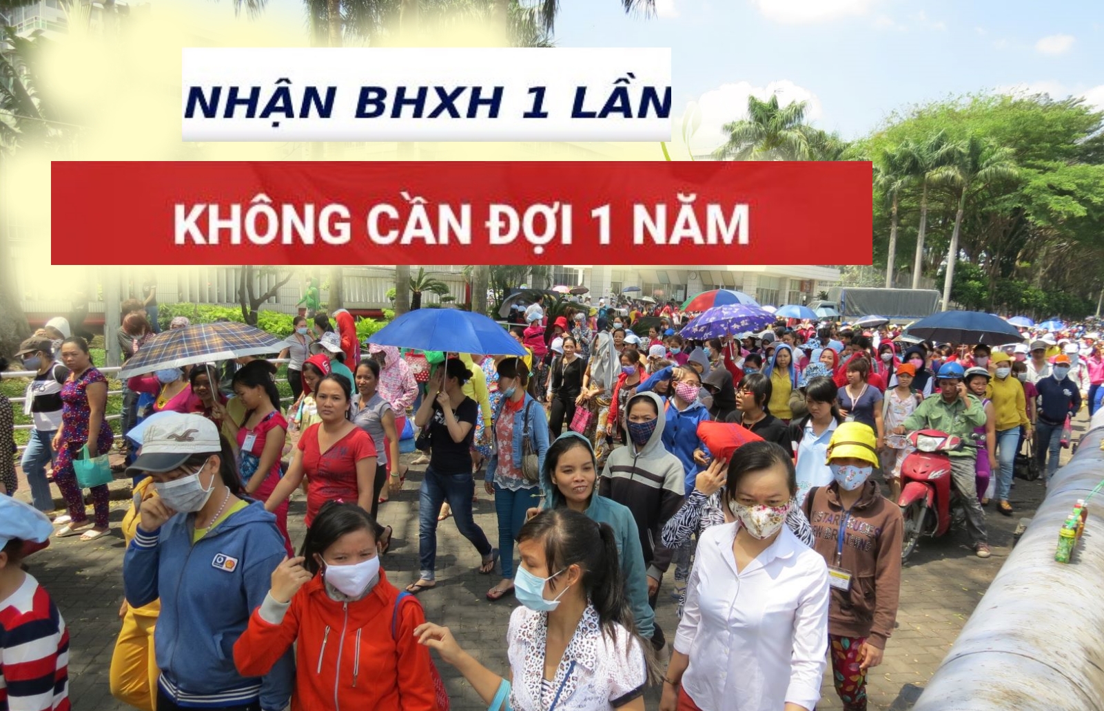 5 trường hợp nếu có yêu cầu thì được nhận BHXH 1 lần không cần đợi 1 năm