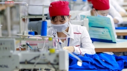 F0, F1 đi làm - tránh tồn đọng và dồn việc cho đồng nghiệp