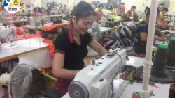 Góc nhìn của người đã khỏi bệnh về đề xuất F0, F1 đi làm