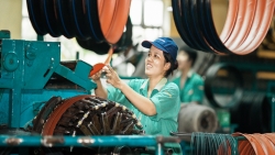 Nên để F0 là công nhân trong các nhà máy đi làm