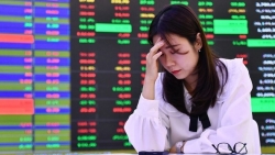 Thị trường chứng khoán tổn thương, ai chịu?