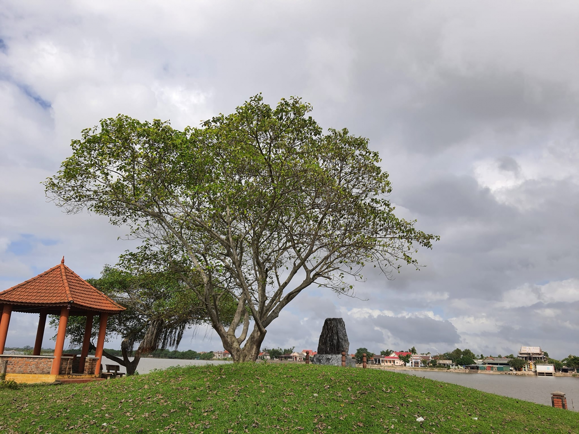 Cù lao thương nhớ Cù lao thương nhớ