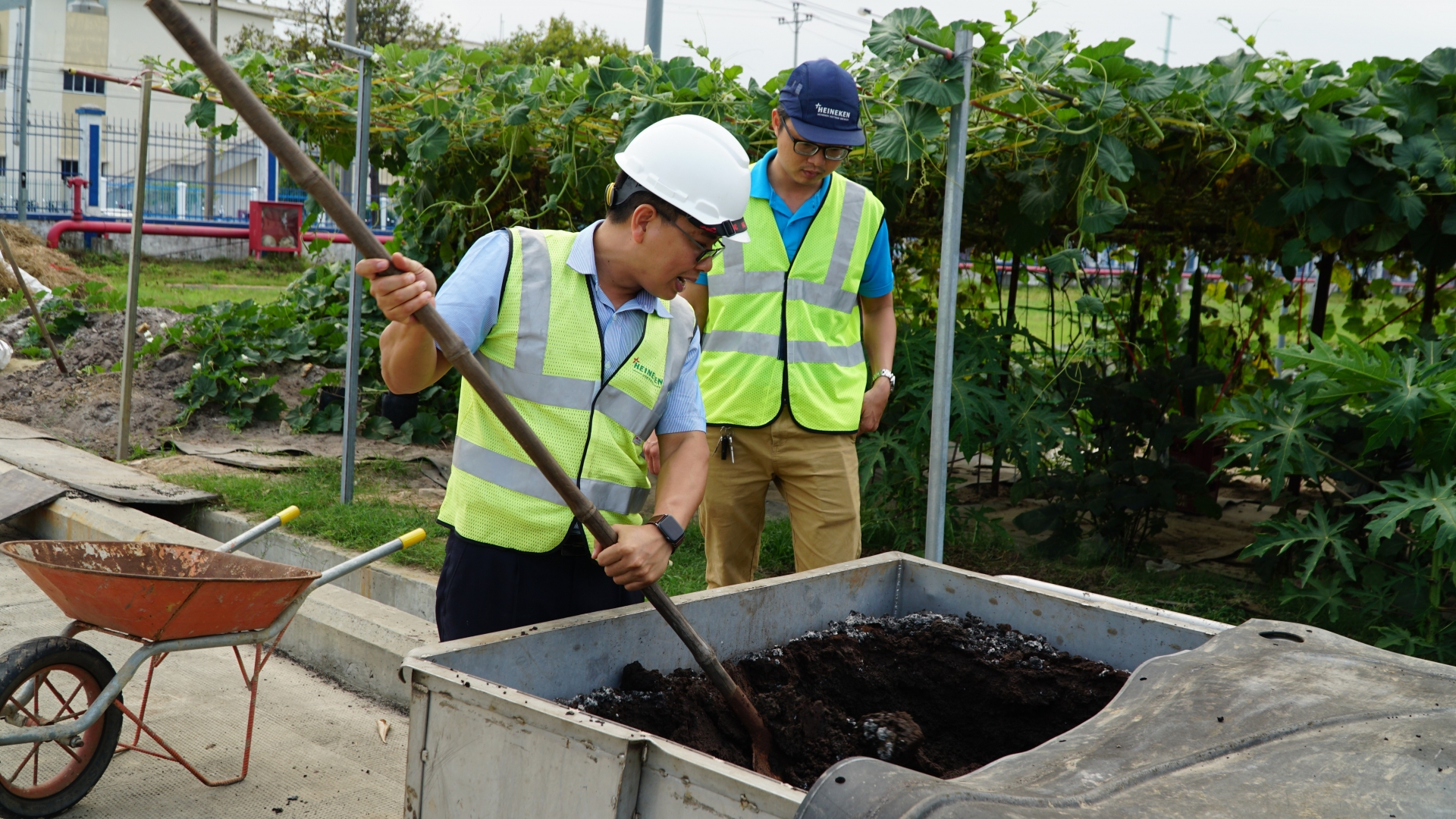 'Vườn rau công đoàn’ xanh mướt được chăm sóc bằng... bùn và nước thải