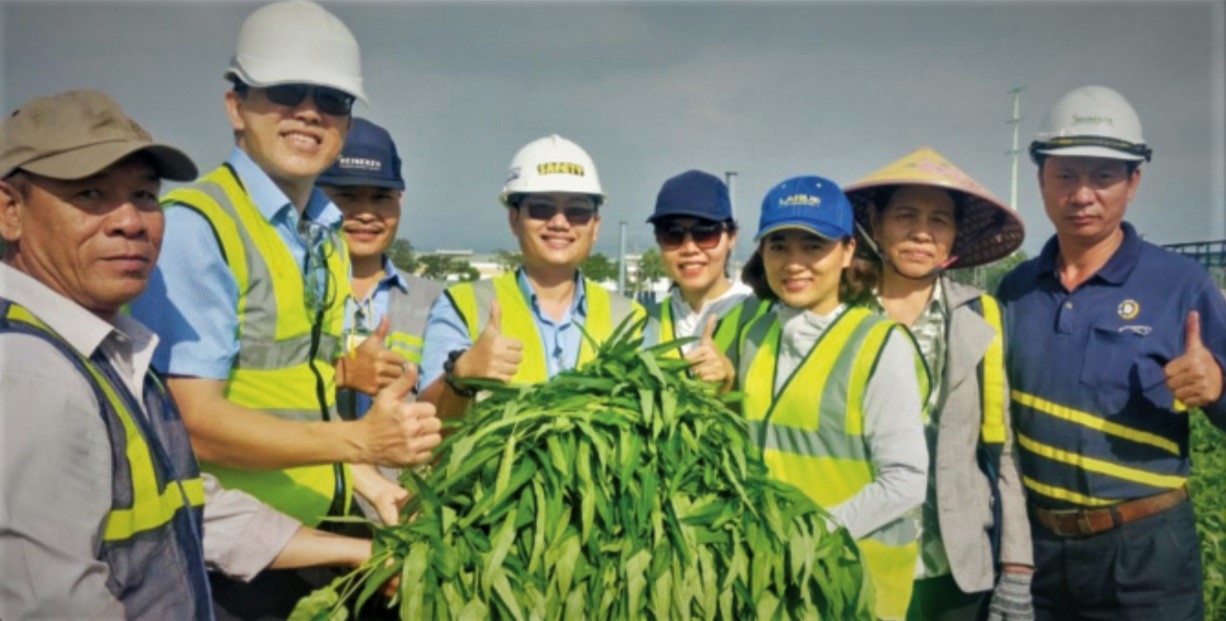 'Vườn rau công đoàn’ xanh mướt được chăm sóc bằng... bùn và nước thải