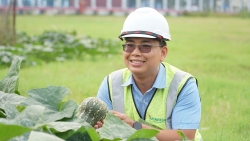 Ngắm "vườn rau công đoàn" xanh mướt của Công ty Heineken Việt Nam